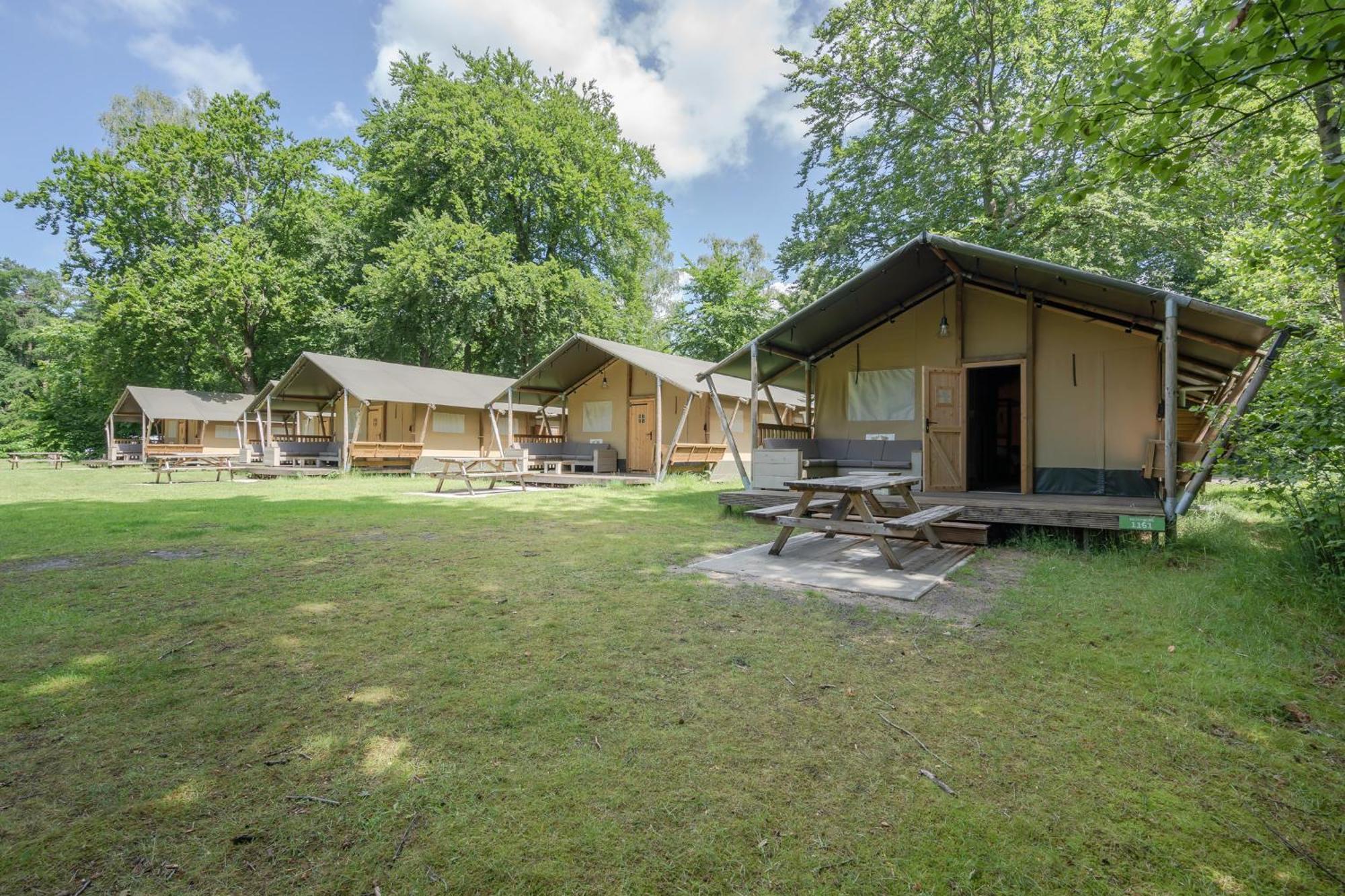 ホテル Rcn Het Grote Bos ドールン 部屋 写真